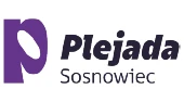 Logo Silesia